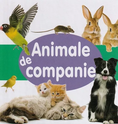 Animale de companie