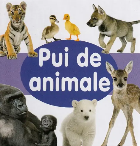 Pui de animale