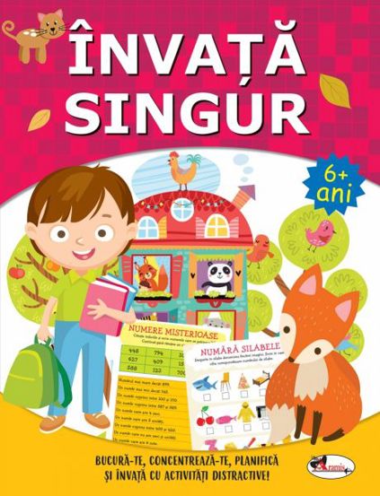 Invata singur. Carte de activitati +6