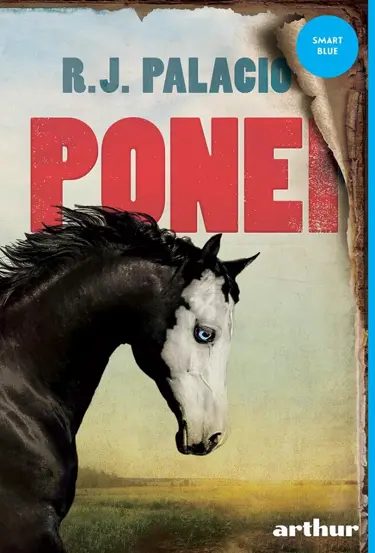 Ponei  