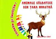 Coloram si invatam! Animale salbatice din tara noastra