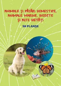Planse: Animale si pasari domestice, animale marine, insecte si alte vietati