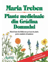 Plante medicinale din Gradina Domnului