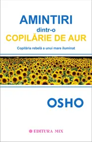 Amintiri dintr-o copilarie de aur