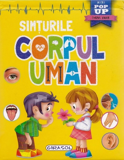 Vezi detalii pentru Corpul uman - Simturile