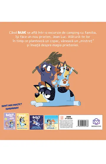 Pachet Emotii pe intelesul copiilor