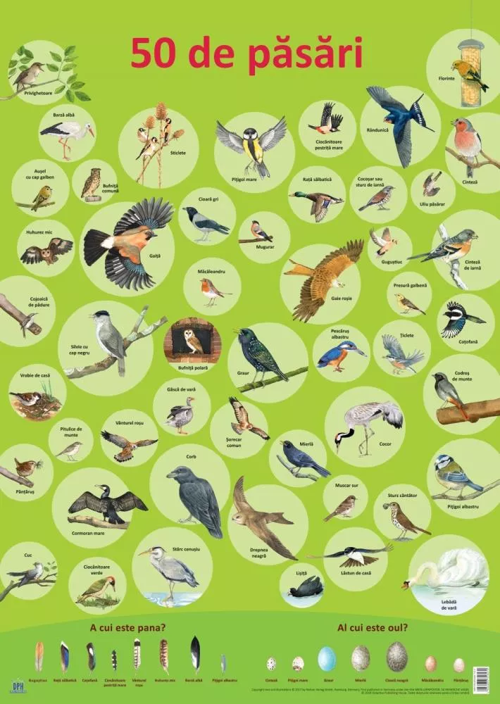 Plansa 50 de pasari
