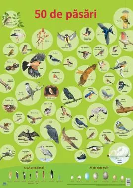 Plansa 50 de pasari