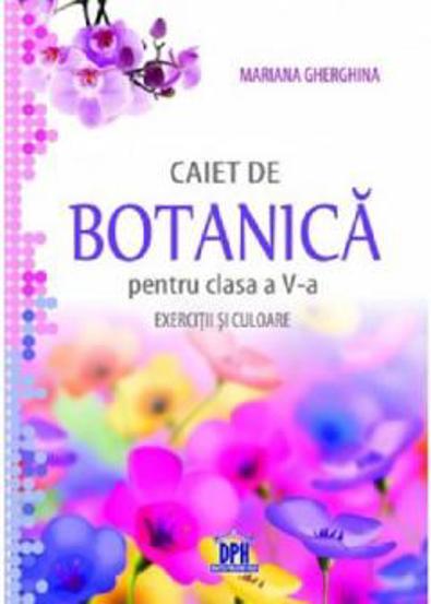 Caiet de Botanică pentru clasa a V-a - Exerciții și culoare