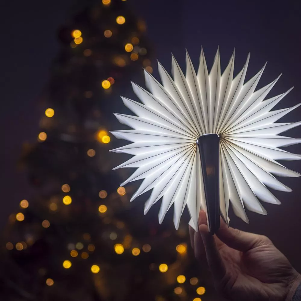 Pachet Dama de trefla -6 carti + Lampa tip carte - format mare - Culoare bej