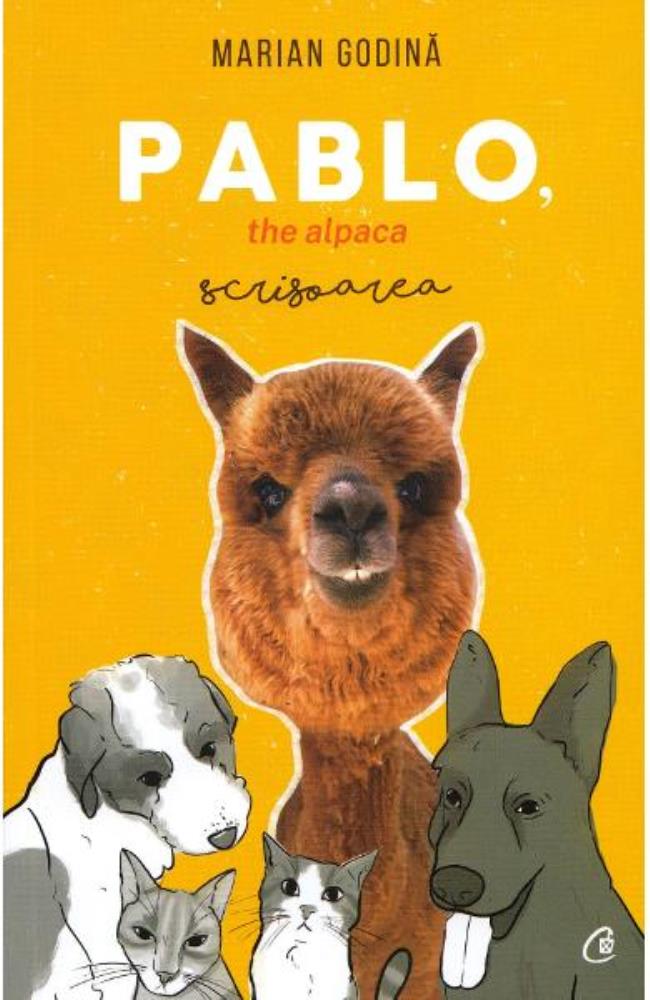 Pablo the alpaca. Scrisoarea