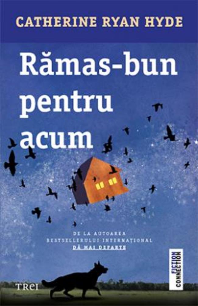 Rămas bun pentru acum