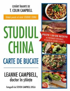 Studiul China – Carte de bucate