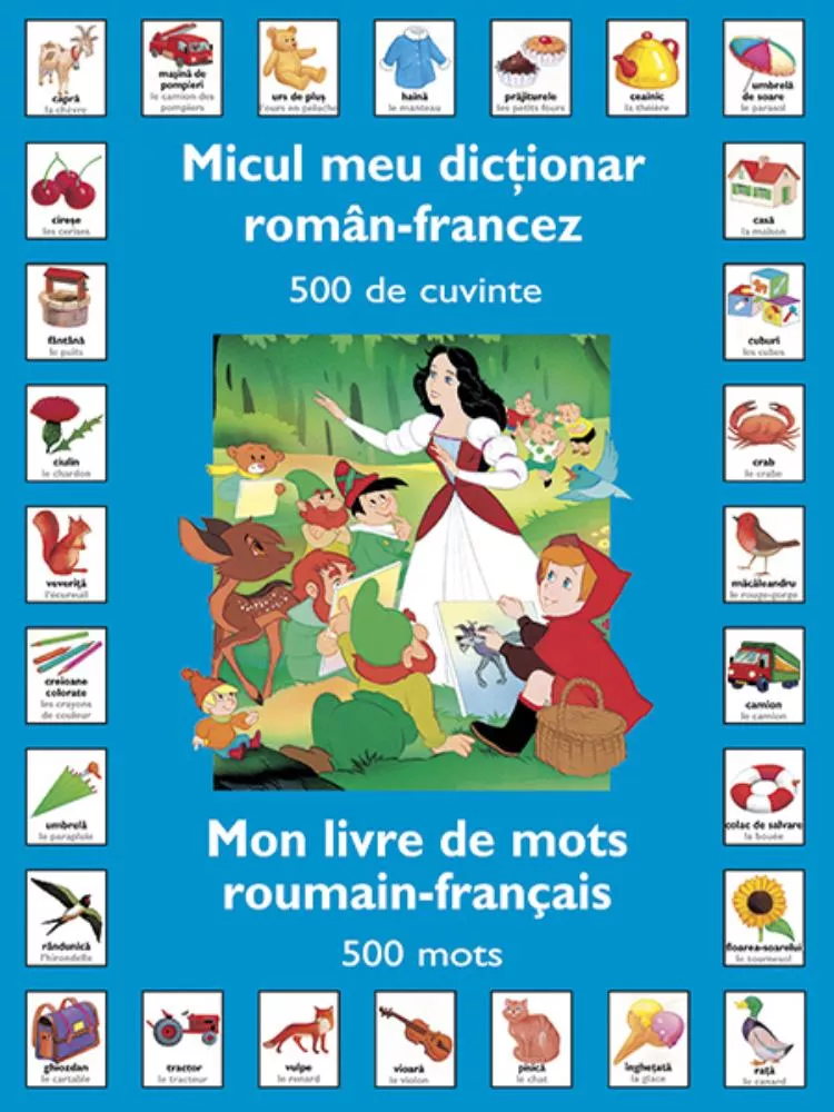 Micul meu dictionar roman-francez