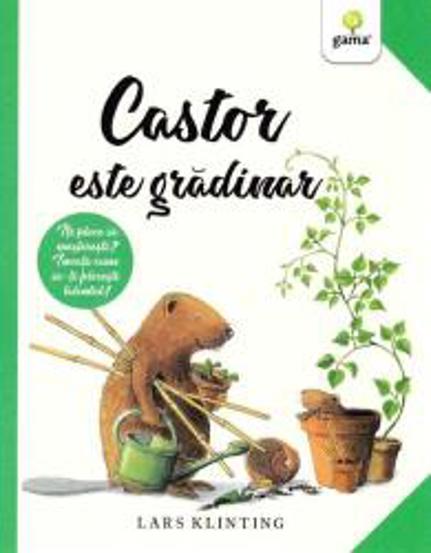 Castor este grădinar