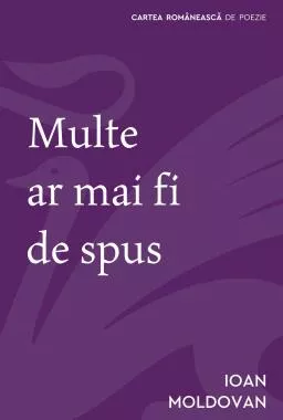 Multe ar mai fi de spus 