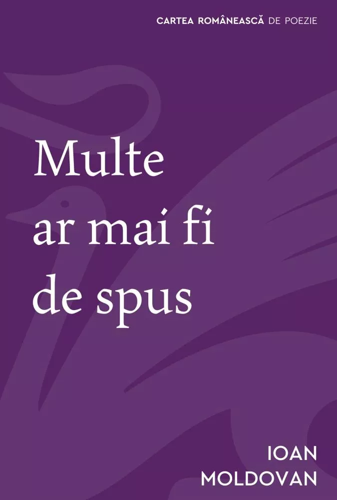 Multe ar mai fi de spus 