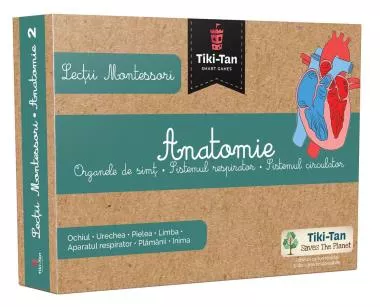 Lectii de anatomie: Organe de simt. Sistemul respirator. Sistemul circulator